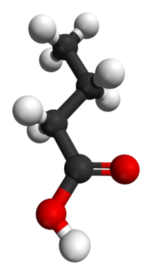 ls_005.png ls_005.png